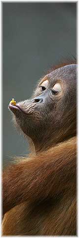 Dem Orang gef�llt das Bild auch nicht!